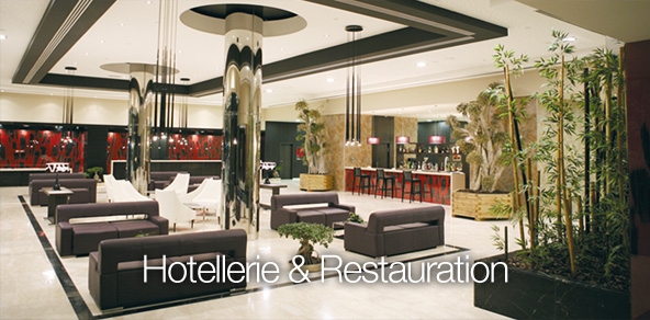 Vidéo Surveillance Hotellerie & Restauration